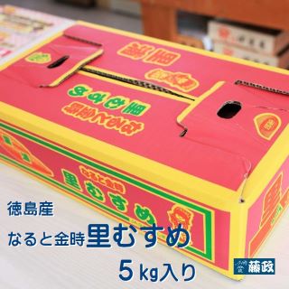 専用/本場 里浦 鳴門金時 里むすめ　5kg/4箱 送料無料 なると金時 里むすめ2L 自家用 5kg箱入 徳島県鳴門市里
