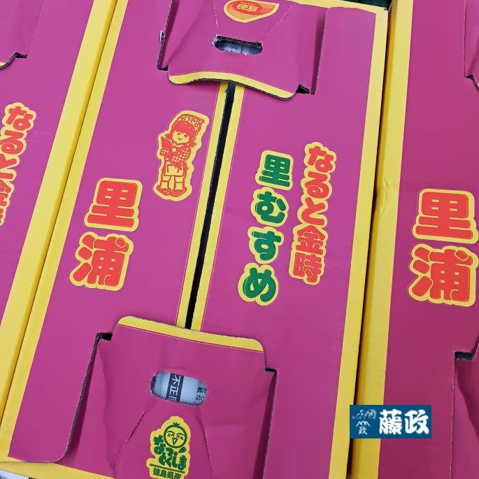 徳島県里浦産 鳴門金時（里むすめ）5kg | 藤政オンラインショップ