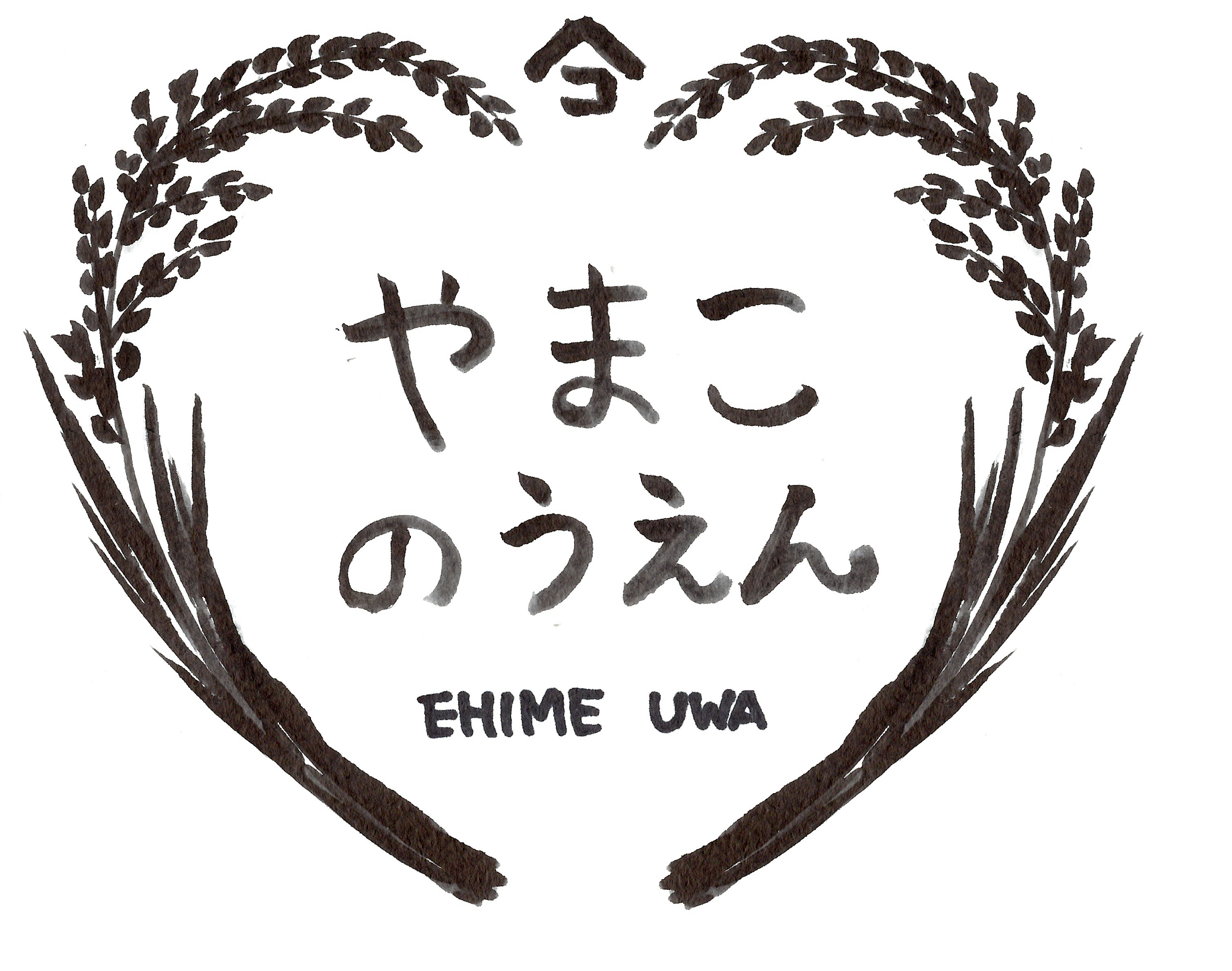 愛媛県で父の後を継ぎ米作り3年目になりました。 父と私の二人農業ですが、おいしいお米をお届けしたく 