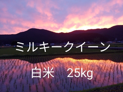 令和6年度産　ミルキークイーン　白米 25kg