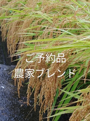 令和6年度 　ご予約品　【160サイズ】
