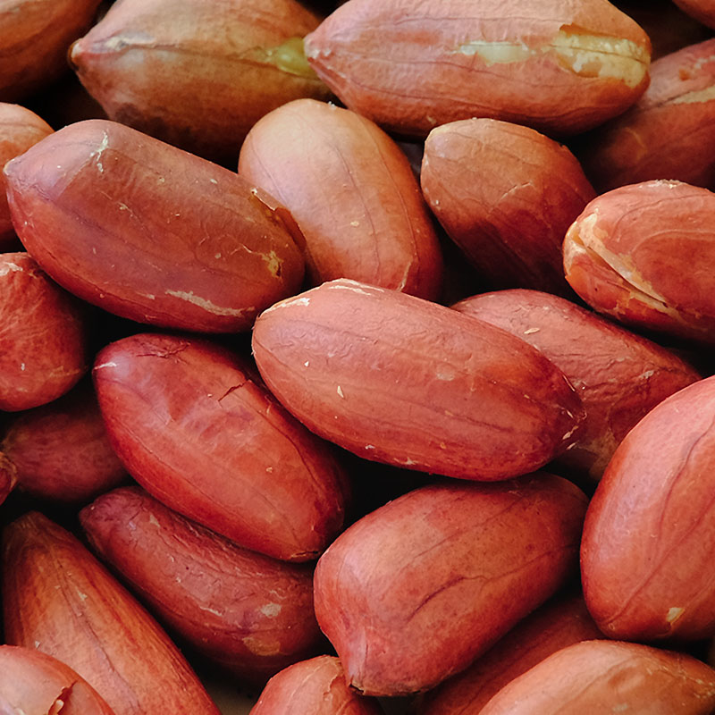 十点セット | 酒井のピーナツ【公式】