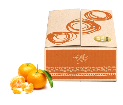 「媛の輝き」温州みかん/通常(S/M/L玉混合)