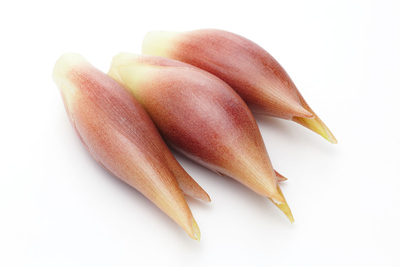 MAX商品MAX商品MAX商品MAX商品MAX商品MAX商品MAX商品MAX商品MAX商品MAX商品MAX商品MAX商品MAX商品MAX商品MAX商品MAX商品MAX商品MAX商品MAX商品MAX商品