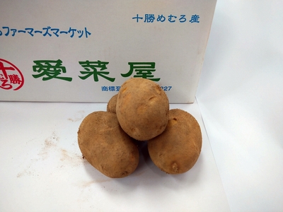 十勝めむろ産マチルダ10kg