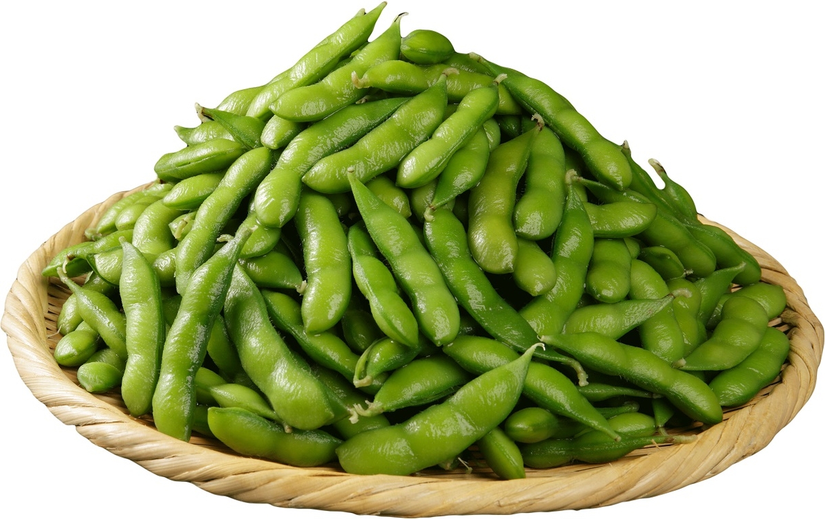十勝めむろえだまめ「極」1箱(300g×20袋入) | JAめむろ