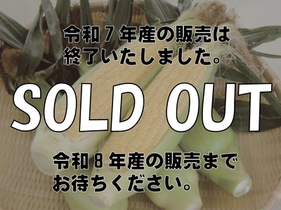 十勝めむろ産イエローコーン10本入