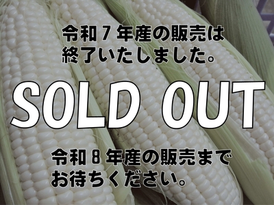 十勝めむろ産ホワイトコーン10本入