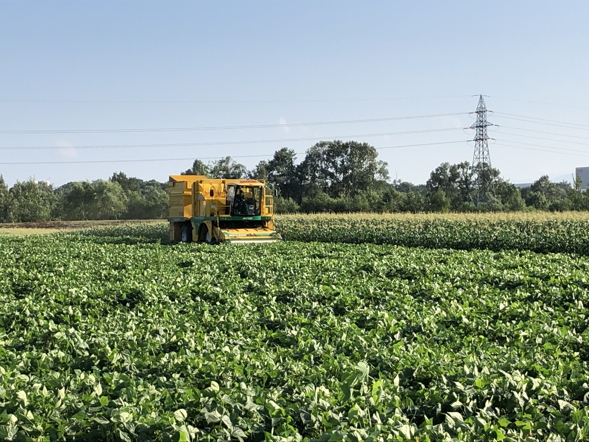 十勝めむろえだまめ「極」1箱(300g×20袋入) | JAめむろ