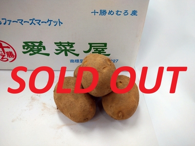 十勝めむろ産マチルダ10kg