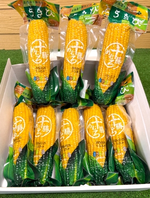 十勝めむろ産　ゴールドラッシュ【レトルトパック】　8本セット