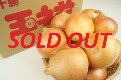 十勝めむろ産玉ねぎ10kg（L大サイズ）