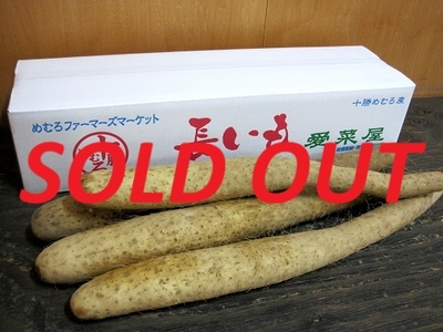 【秋掘り】十勝めむろ長いも10kg