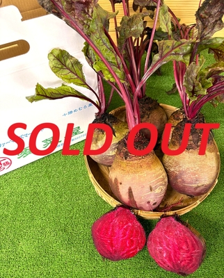 十勝めむろ産　赤ビーツ5個　3kg～3.5kg