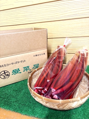十勝めむろ産ルバーブ　1㎏