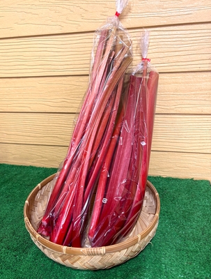 十勝めむろ産ルバーブ　2㎏