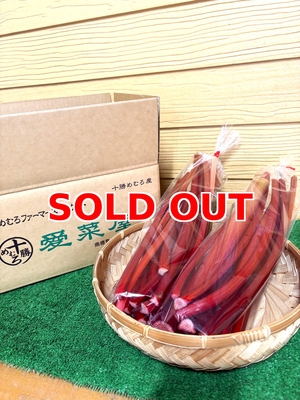 十勝めむろ産ルバーブ　1㎏