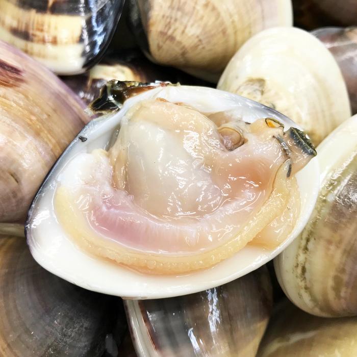 はまぐり 魚音のまぐろ