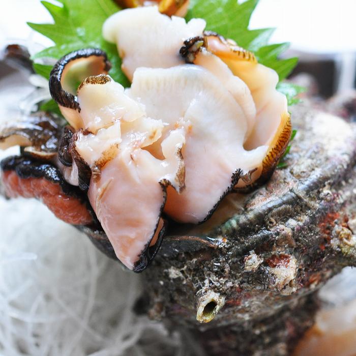 さざえ | 魚音のまぐろ