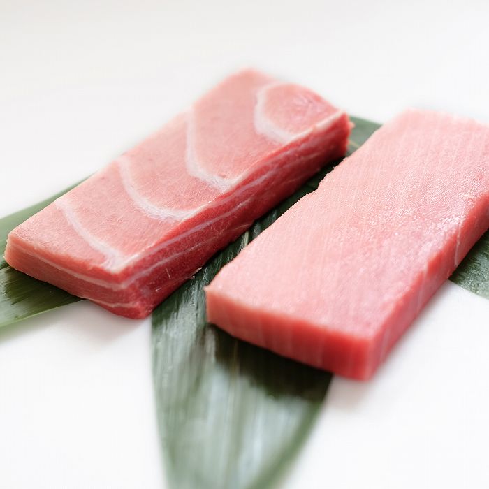 本まぐろ 大トロ・中トロセット | 魚音のまぐろ