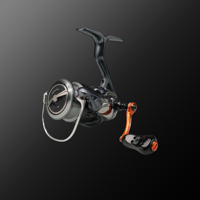 【くぬぎ。】LIVRE Fairy 36 限定　BLACKSOUL Fairy 36 Halloween［100本限定］ | LIVRE SHOP