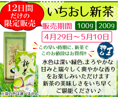 いちおし新茶
