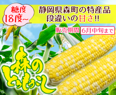 森のとうもろこし