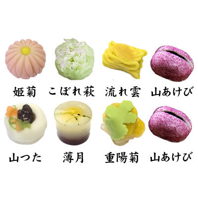 季節の上生菓子6種　山あけび2個　詰合せ