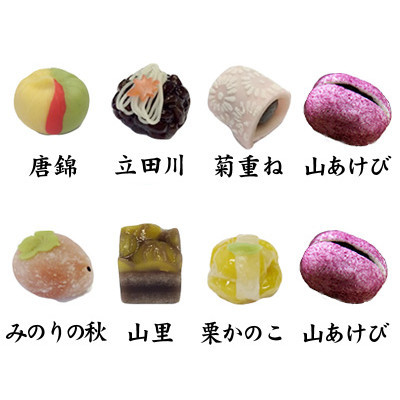 季節の上生菓子6種　山あけび2個　詰合せ