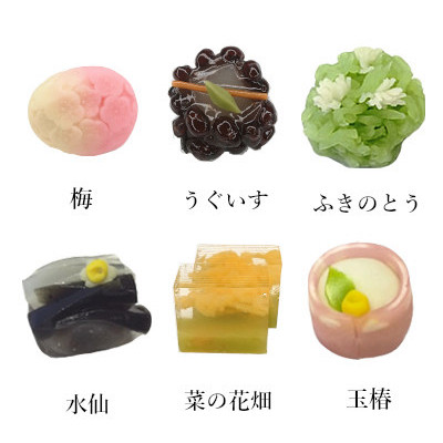 季節の上生菓子6種入り