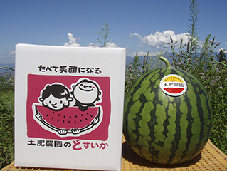 完熟すいか 3L 1個入り | 土肥農園ショップ