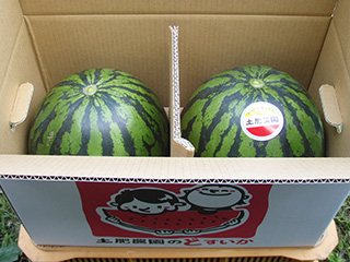 完熟すいか 3L 2個入り | 土肥農園ショップ