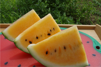 ★サマーオレンジ