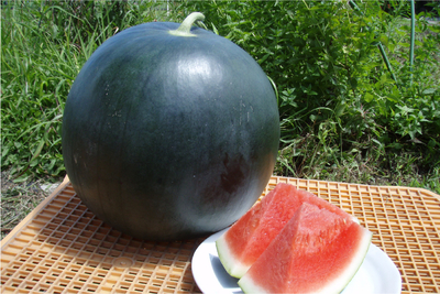 ★ブラックジャック