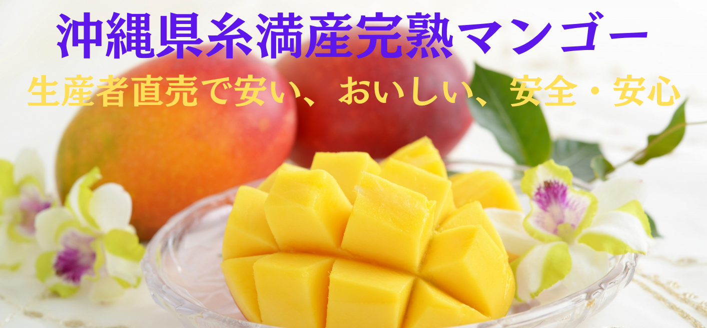 沖縄県糸満産マンゴー 大野農園