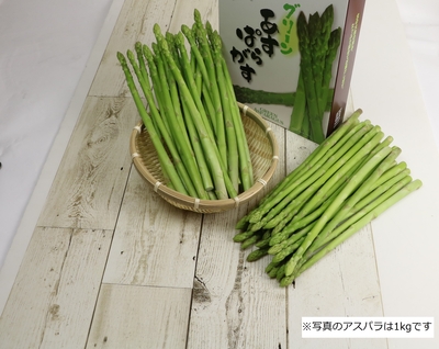 夏アスパラ | 鈴木農園