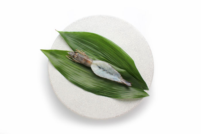 天使の海老干物