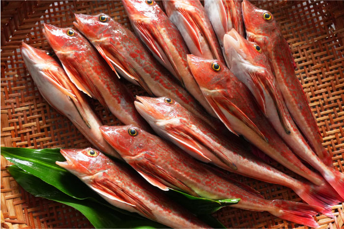 地元・伊東市場で競り落としたばかりの新鮮なほうぼう