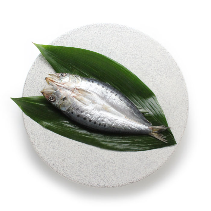 版画　うるめいわし 楽天市場】イワシ 3袋セット [下園薩男商店] 鹿児島阿久根産