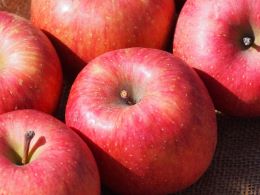 サンふじ特選3kg(8~12玉)