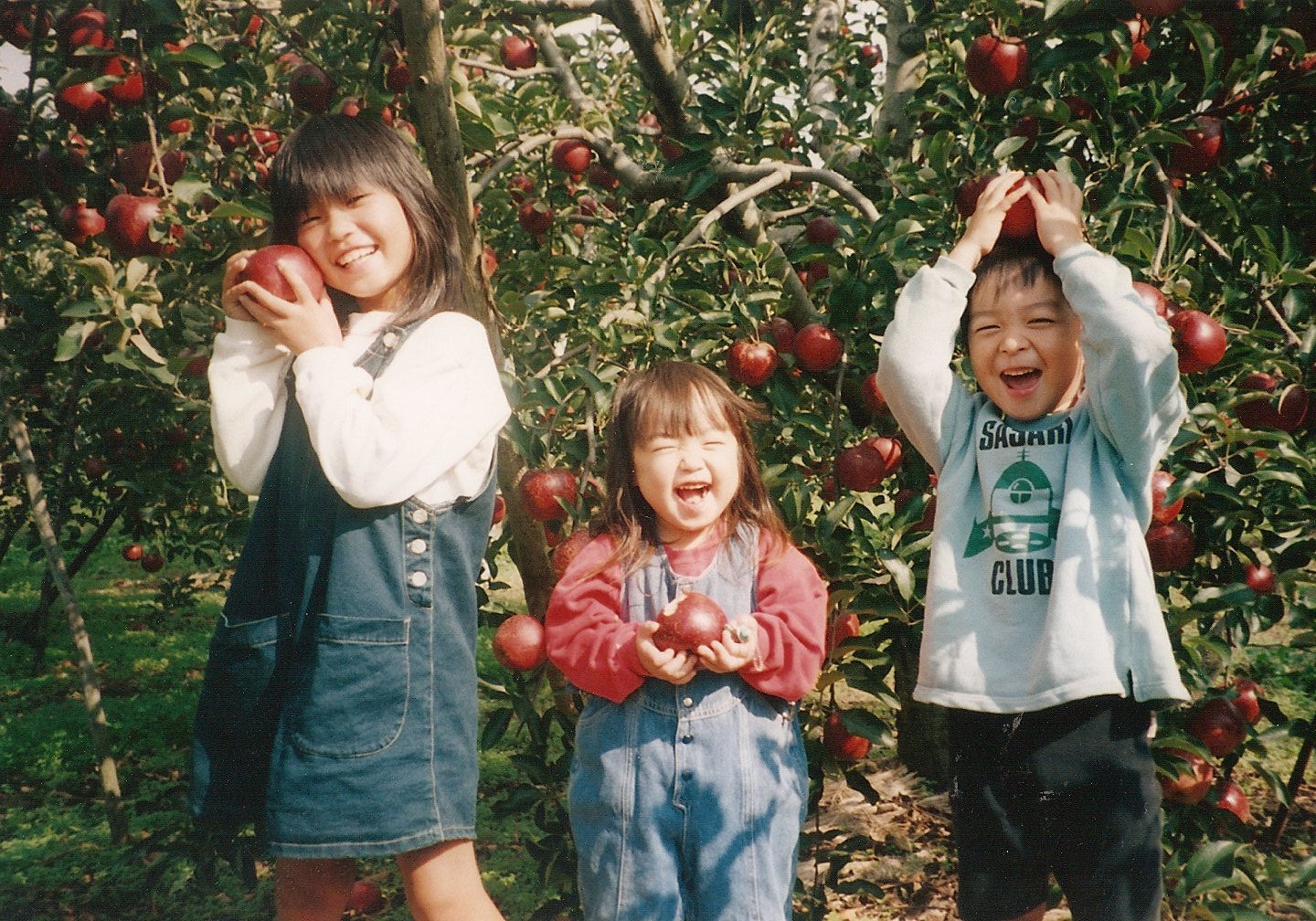 クリックしてください