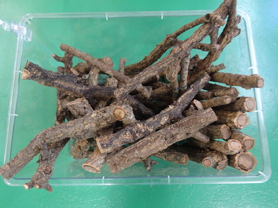 コルク枝　小サイズ　止まり木