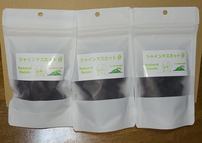 シャインマスカット干しぶどう　100ｇ入り３個セット（送料込み）