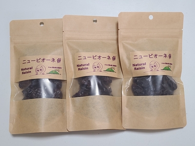 ピオーネ干しぶどう　100g入り3個セット（送料込み）