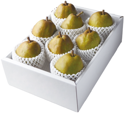 ご親戚やご友人様に!特秀品「ラ・フランス」3kg(4L・8玉~6L・6玉)