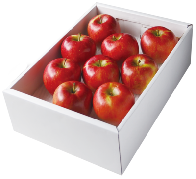 お手頃な規格が新発売！濃厚な甘みでジューシー！「無袋栽培」ふじりんご３ｋｇ（８玉～９玉）