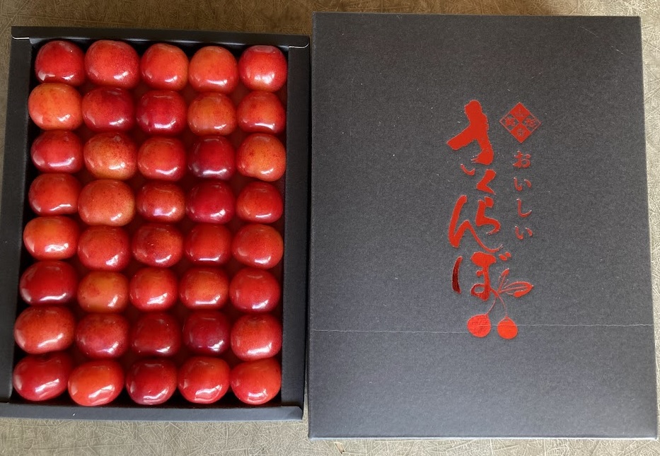 さくらんぼ「佐藤錦」お化粧詰め300g(厳選品) | 杉山さくらんぼ