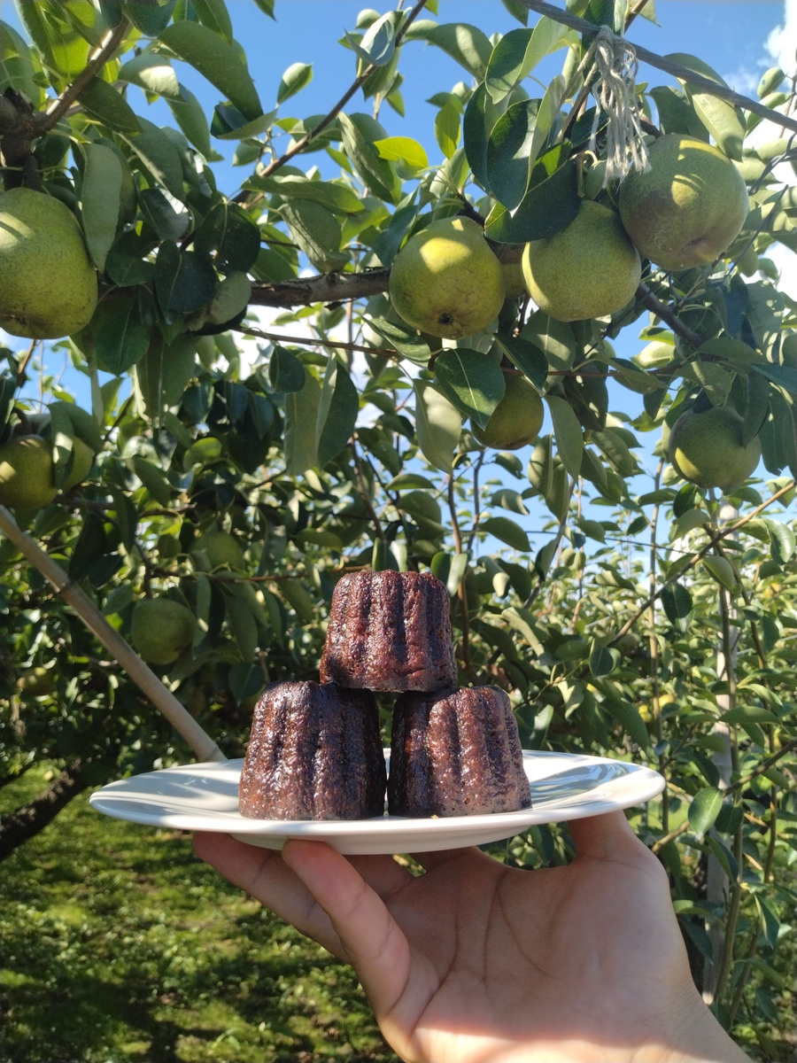 ご褒美・ギフトにぴったり！かみのやま