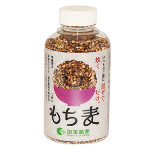 ダイシモチ 裸もち麦 種籾 1kg(約25000粒) 自然農 自家採種 もち麦