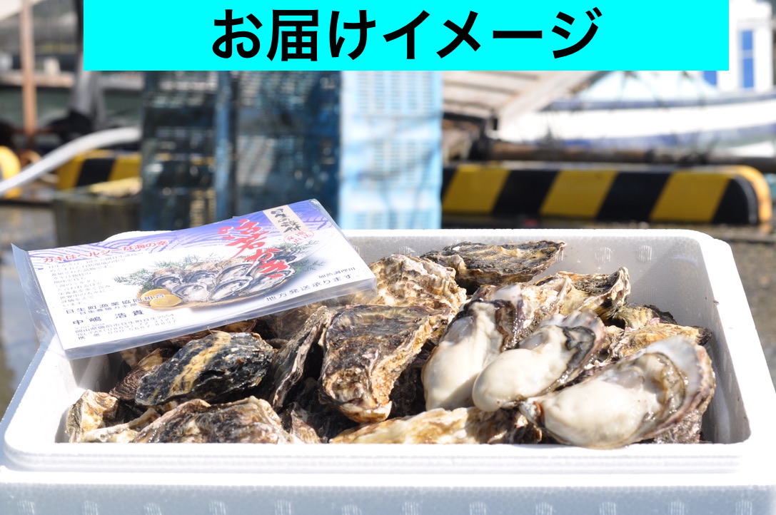 日生産殻付き生牡蠣　　2月8.9日近場配達します！ 生食OK】出荷当日水揚げ・発送！九十九島産 殻付き生牡蠣 真牡蠣 生